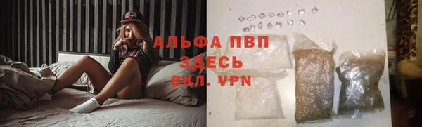 ГАЛЛЮЦИНОГЕННЫЕ ГРИБЫ Вязьма