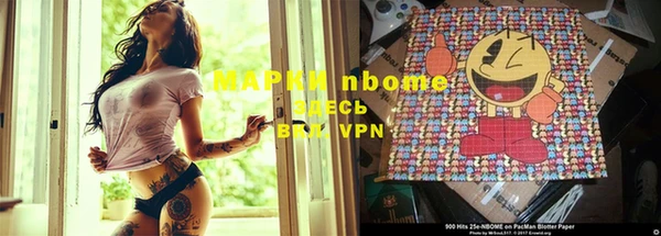 ГАЛЛЮЦИНОГЕННЫЕ ГРИБЫ Вязьма