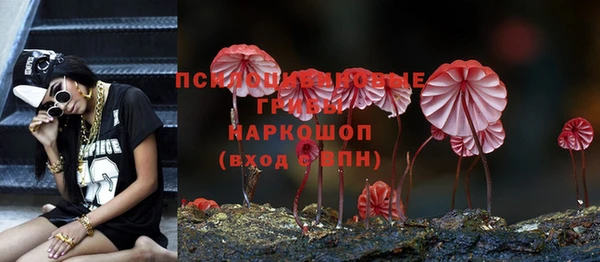 ешки Вязники