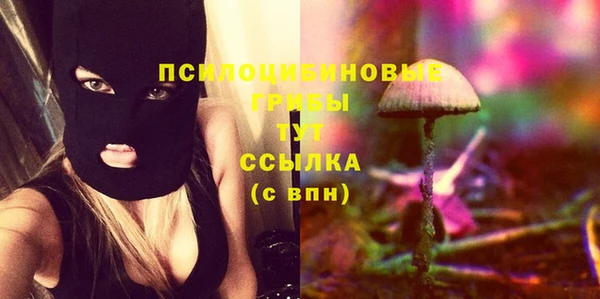 бутират Вяземский