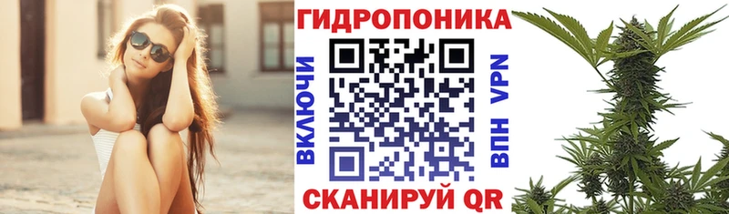 цена   Димитровград  Марихуана сатива 